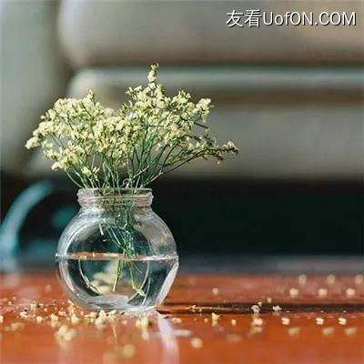 永夜降临复苏最新版下载