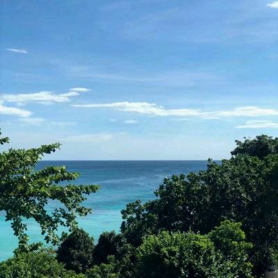 守护城堡变态版下载